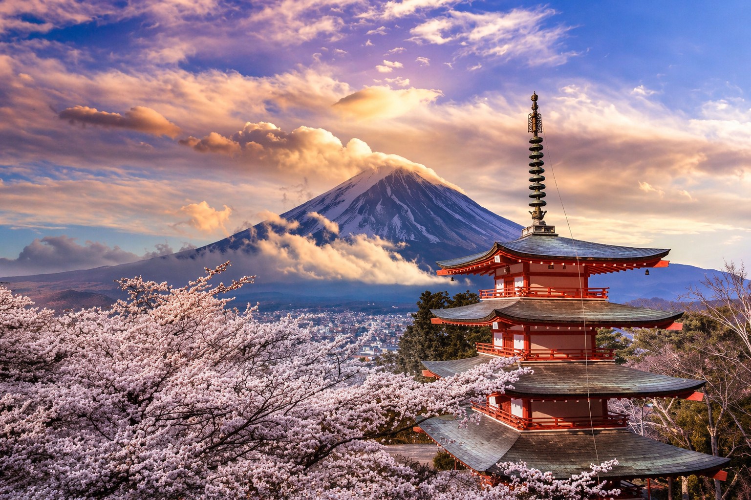 From Tokyo/Yokohama: Mt. Fuji, Lake Kawaguchi & Hakone Tour - Private