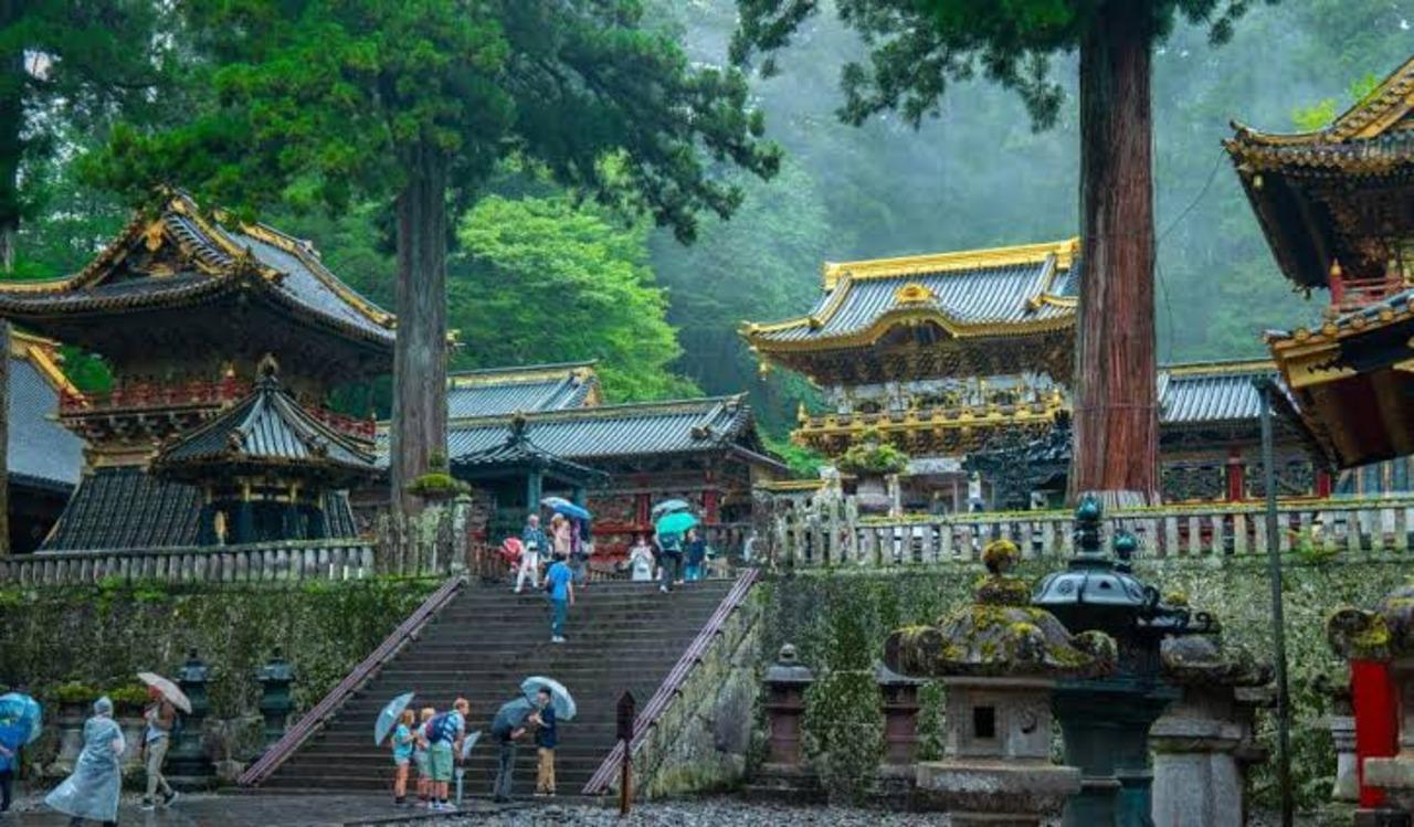 From Tokyo: Nikko Toshogu & Akechidaira Ropeway, Kegon Falls Private Tour