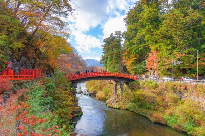 From Tokyo: Nikko Toshogu & Edo Wonderland, Kegon Falls Private Guided Tour