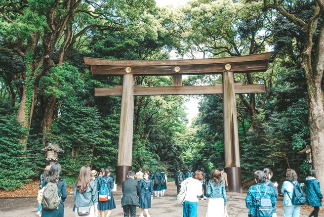 東京 浅草・浅草寺&渋谷&明治神宮・竹下通りツアー