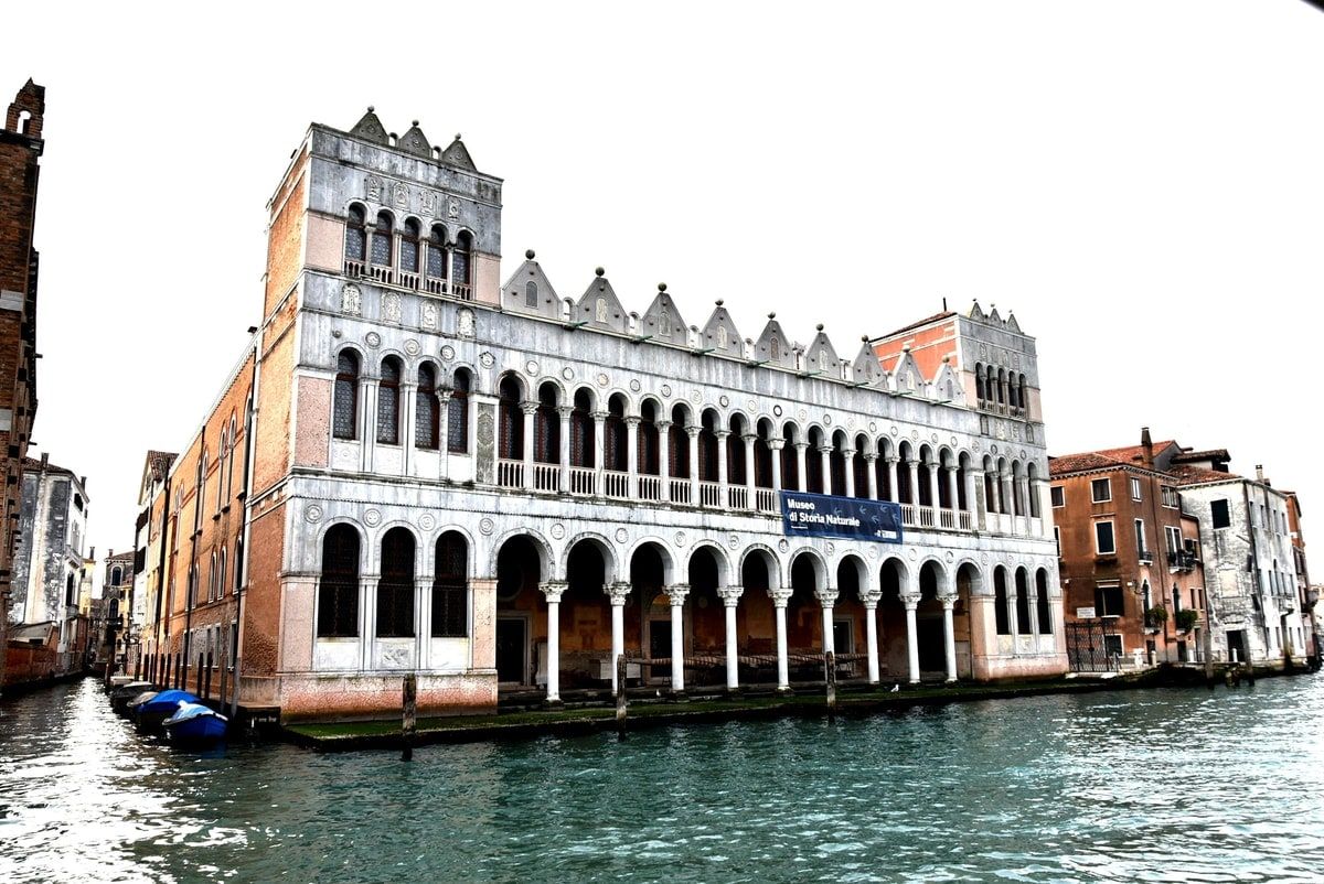 detail_image