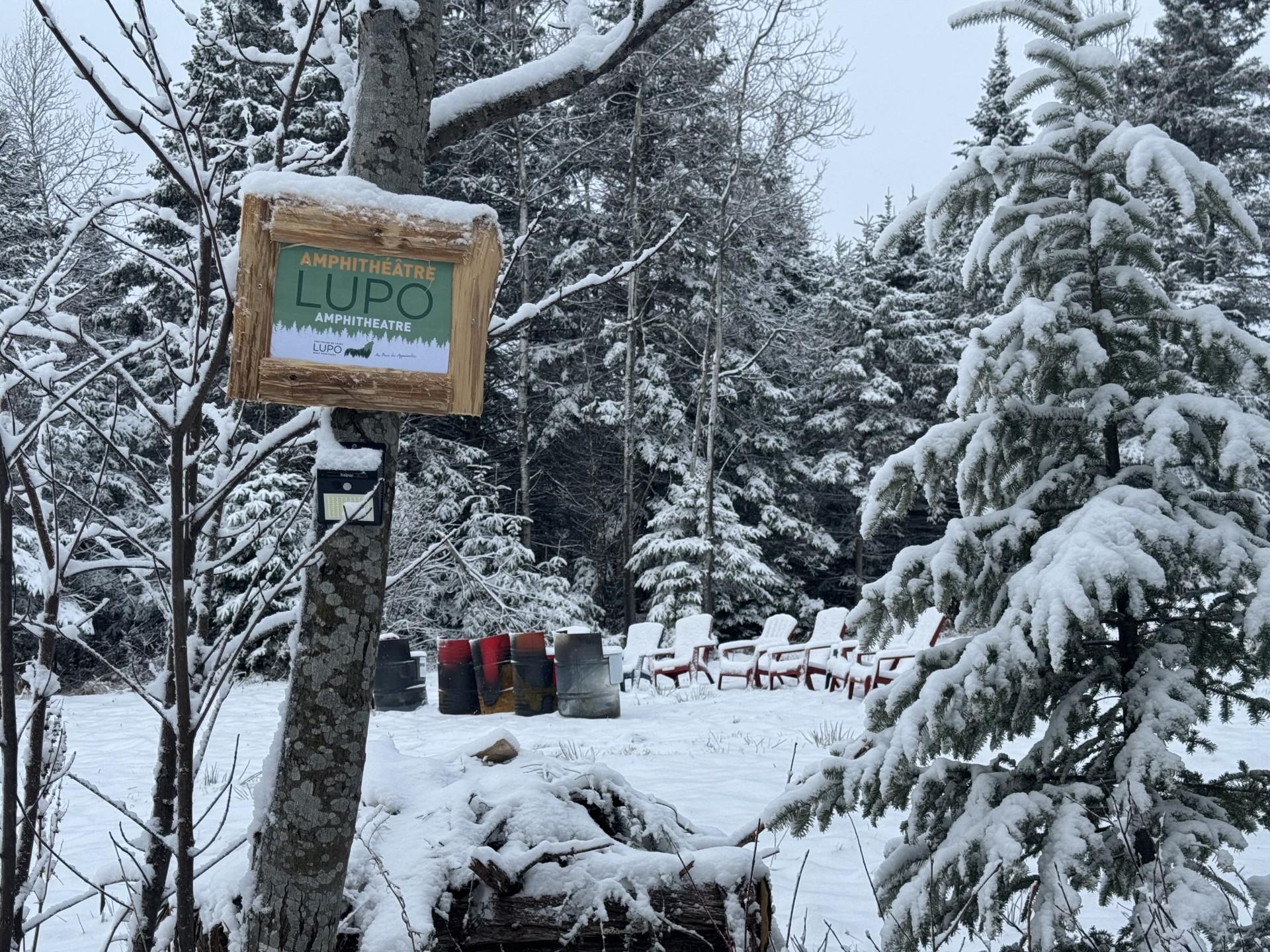 Sainte-Apolline LUPO Wolf Sanctuary Guided Tour