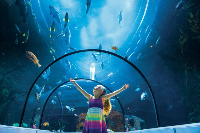 Aquarium du Québec Admission Ticket in Québec City