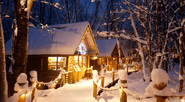 札幌発：ファームズ千代田スノーモービル＆クリスマスツリーの木・ニングルテラス日帰りツアー