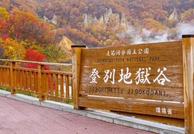 札幌発:登別地獄谷&洞爺湖・定山渓温泉 日帰りツアー