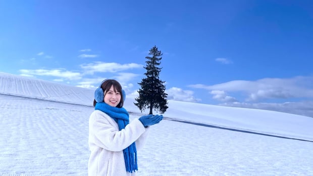 札幌発：美瑛神社・クリスマスツリーの木＆ファーム富田 冬の日帰りツアー