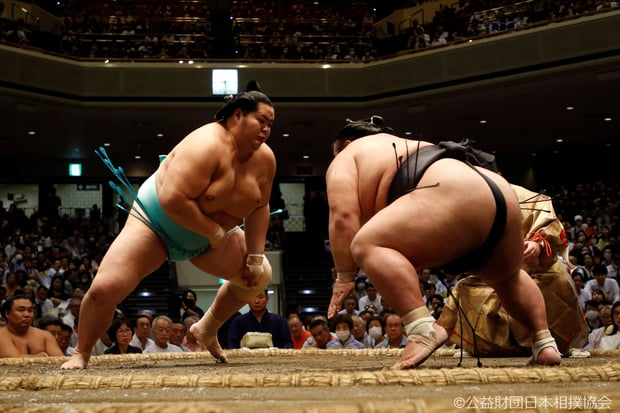 福岡 大相撲九州場所 英語解説付き観戦ツアー