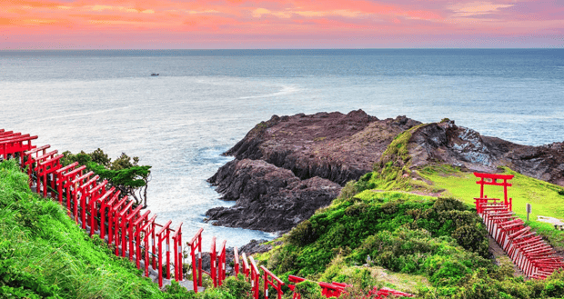 From Fukuoka: Akiyoshido Cave & Motonosumi Inari Shrine & Tsunoshima Bus Tour