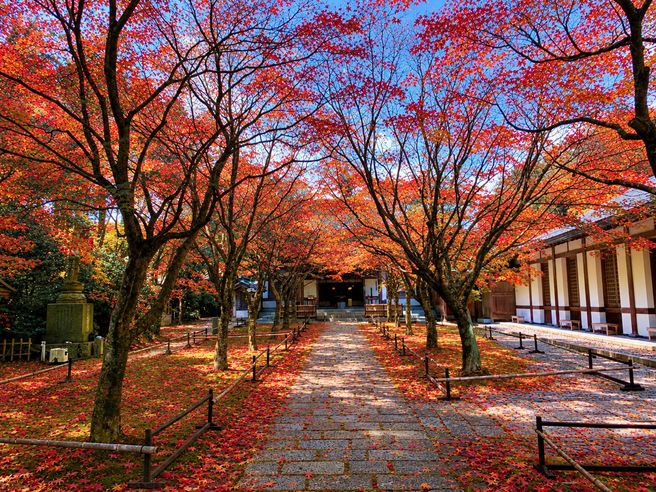Fukuoka Nomiyama Kannonji Temple Private Guided Tour