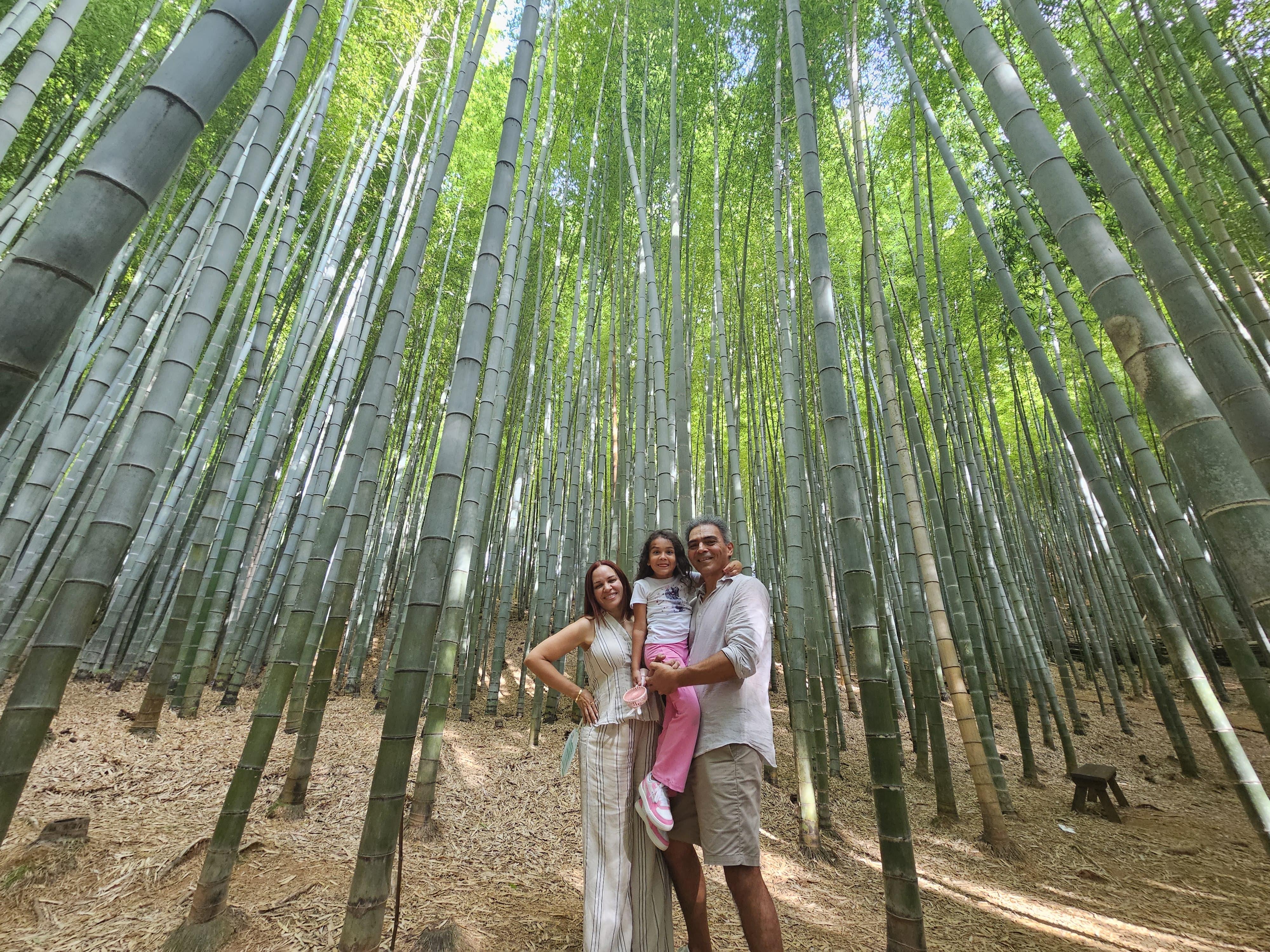 釜山 アホプサンの森＆海東龍宮寺・甘川文化村 プライベートツアー - ホテル送迎