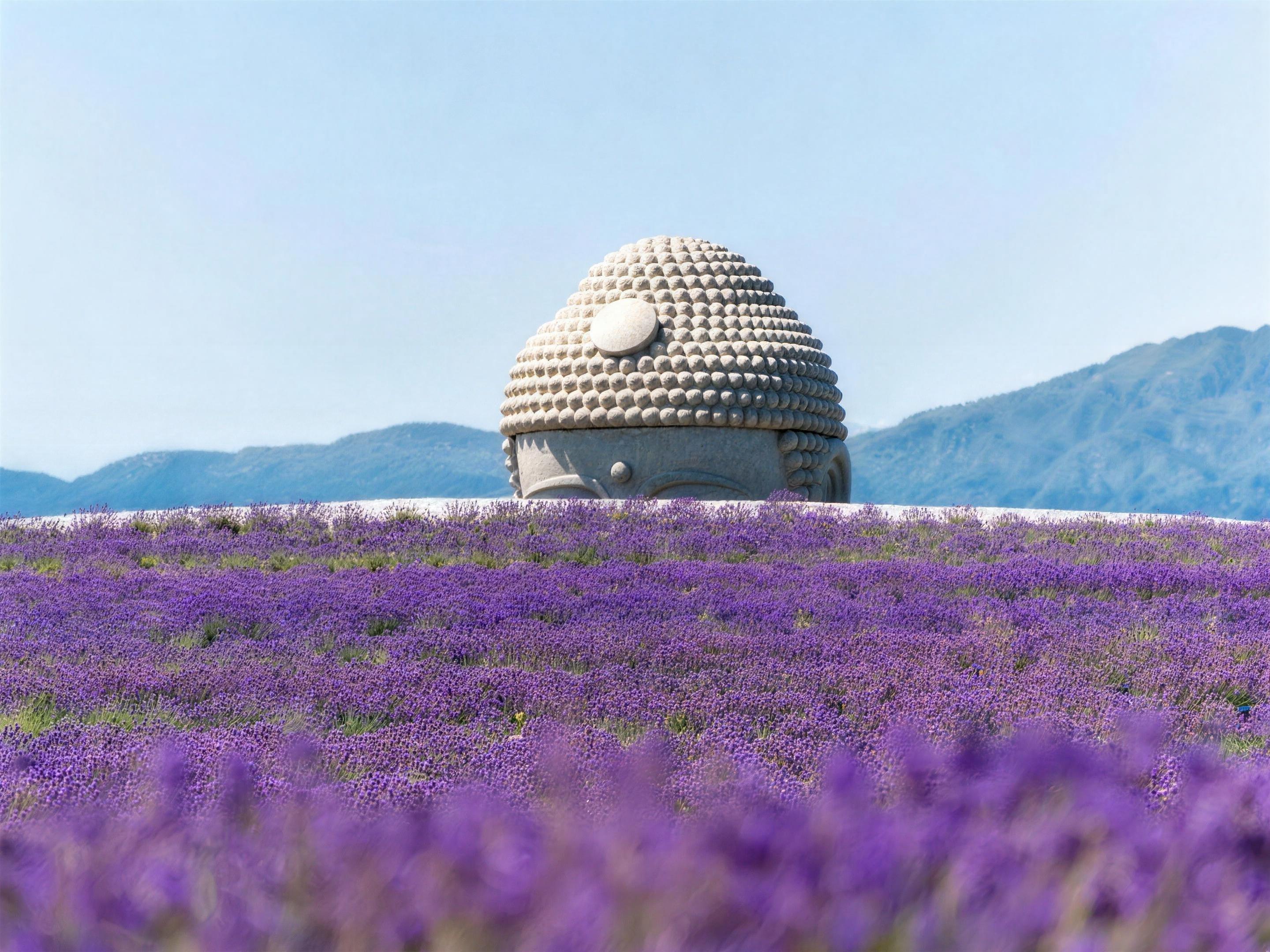 From Sapporo: Hill of the Buddha & Jozankei, Lake Toya and Noboribetsu Day Tour