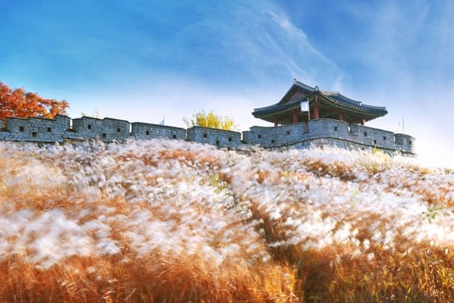 From Seoul: Suwon Hwaseong Fortress & Haenggung Palace Guided Tour