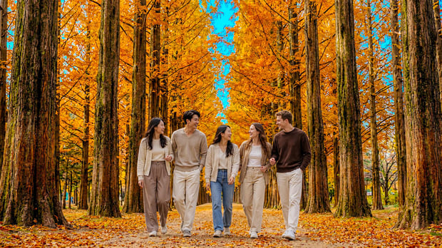 From Seoul: Nami Island & The Garden of Morning Calm Day Tour