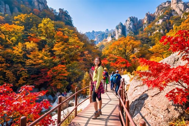 From Seoul: Seoraksan, Nami Island & Garden of Morning Calm Day Tour