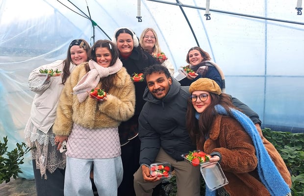 From Seoul: Strawberry Picking & Eobi Ice Valley & Nami Island Day Tour