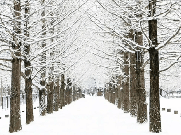 activity_detail_image