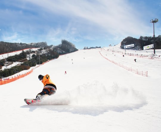 From Seoul: Vivaldi Park Ski & Eobi Ice Valley Day Tour