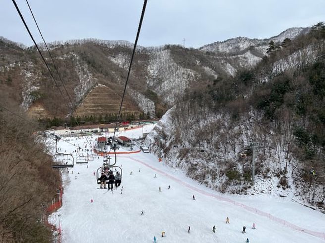 From Seoul: Elysian Gangchon Ski & Sled Day Tour