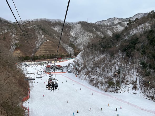From Seoul: Elysian Gangchon Ski & Sled Day Tour
