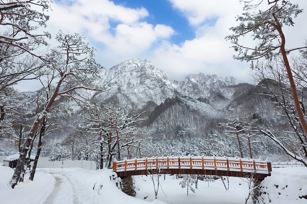 From Seoul: Seoraksan & Nami Island and Eobi Ice Valley Day Tour