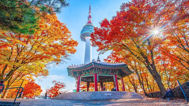 서울 N서울타워 전망대 & 남산 케이블카 왕복 콤보 티켓