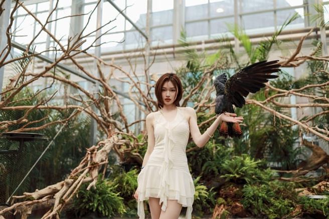 가평 베고니아새정원 외국인 전용 입장권