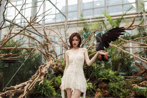 Gapyeong Begonia Bird Garden Admission Ticket for Foreign Visitors
