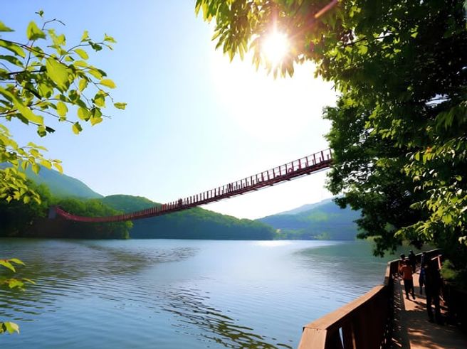 ソウル発:DMZ&普光寺・馬場湖吊り橋 プライベートツアー(ホテル送迎付き)