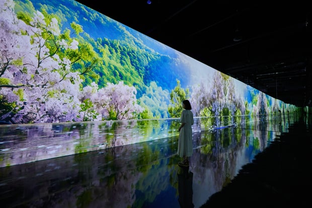 Paju Museum HEI Immersive Media Art Exhibition Ticket