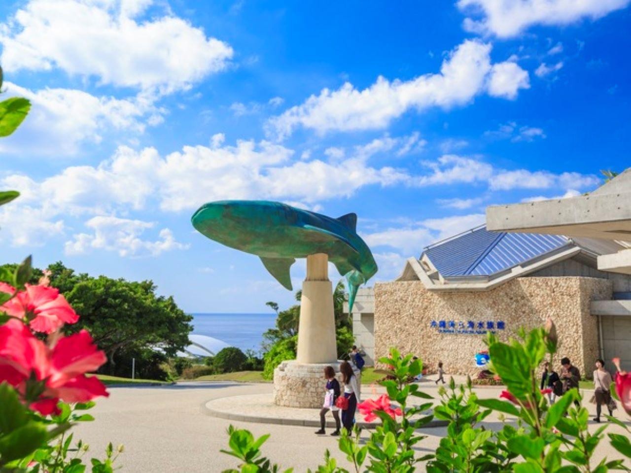 那覇発：沖縄北部 美ら海水族館＆パイナップルパーク バスツアー - 入場券付き