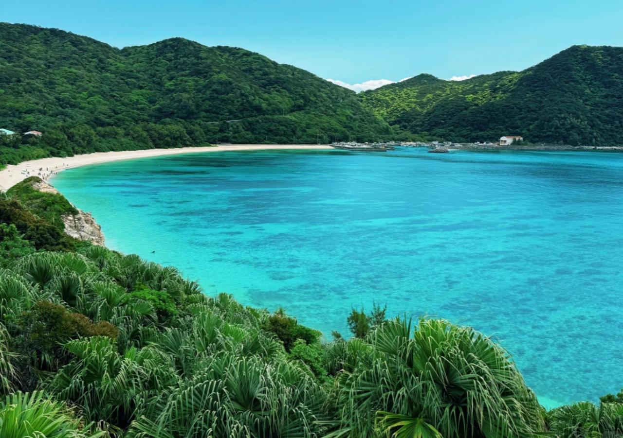 那覇発：渡嘉敷島 阿波連ビーチ海水浴＆ウミガメシュノーケリング日帰り旅行
