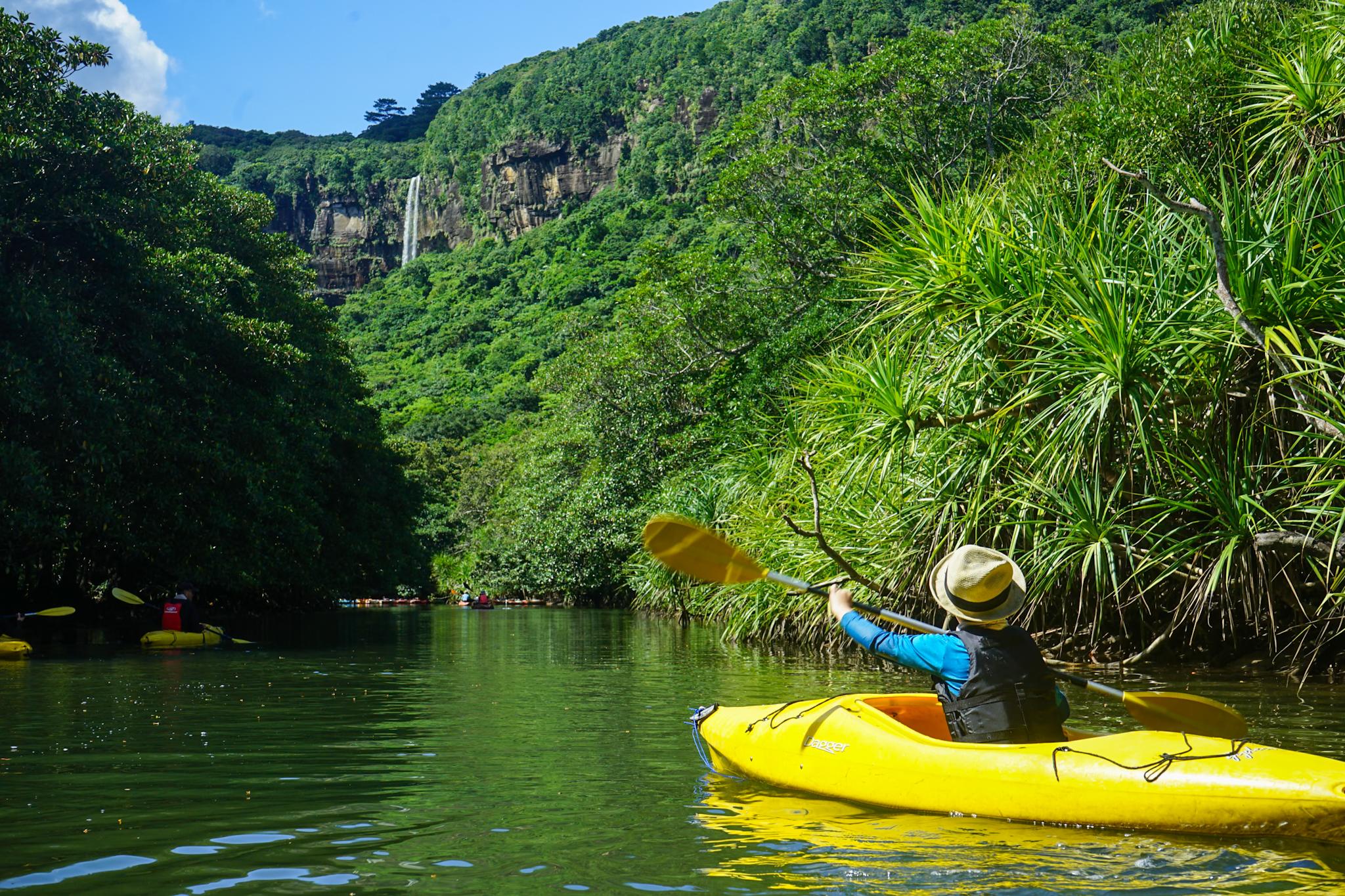 Iriomote Island Pinaisara Falls Kayak & Trekking Small-Group Tour