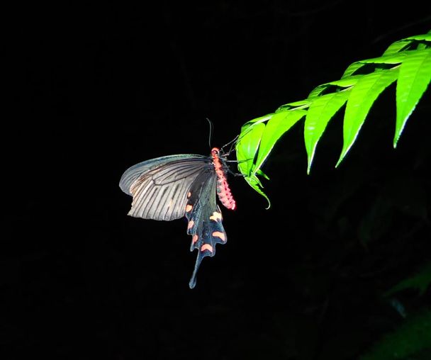 activity_detail_image