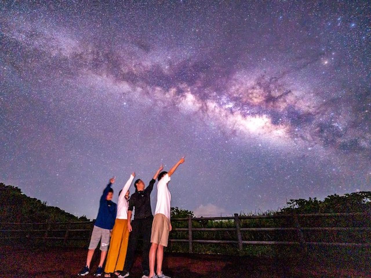 Iriomote Island Night Jungle & Stargazing Tour with Photos