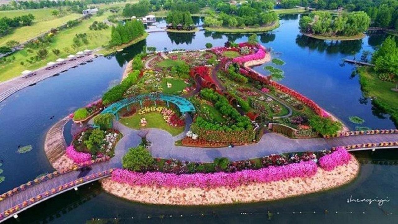 Shanghai Chenshan Botanical Garden & Quarry Garden Entry Ticket