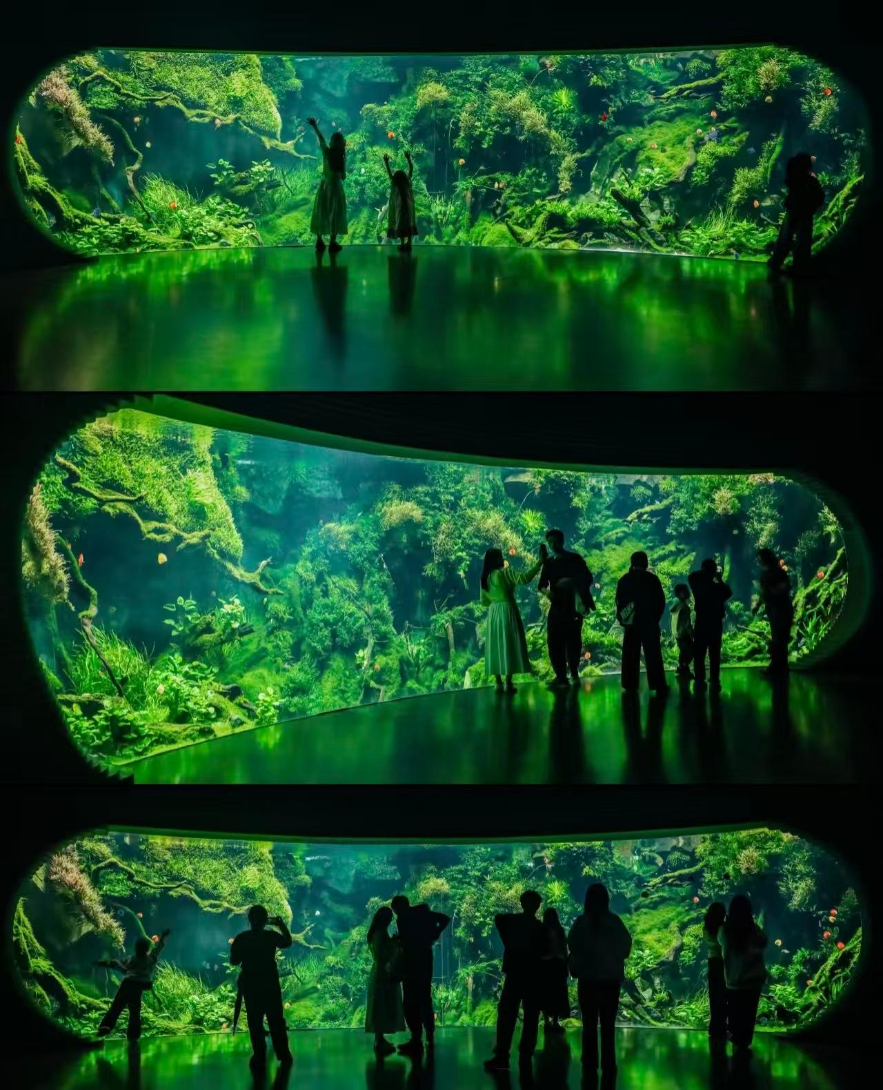 Shanghai World Expo Cultural Park Greenhouse Garden Admission Ticket