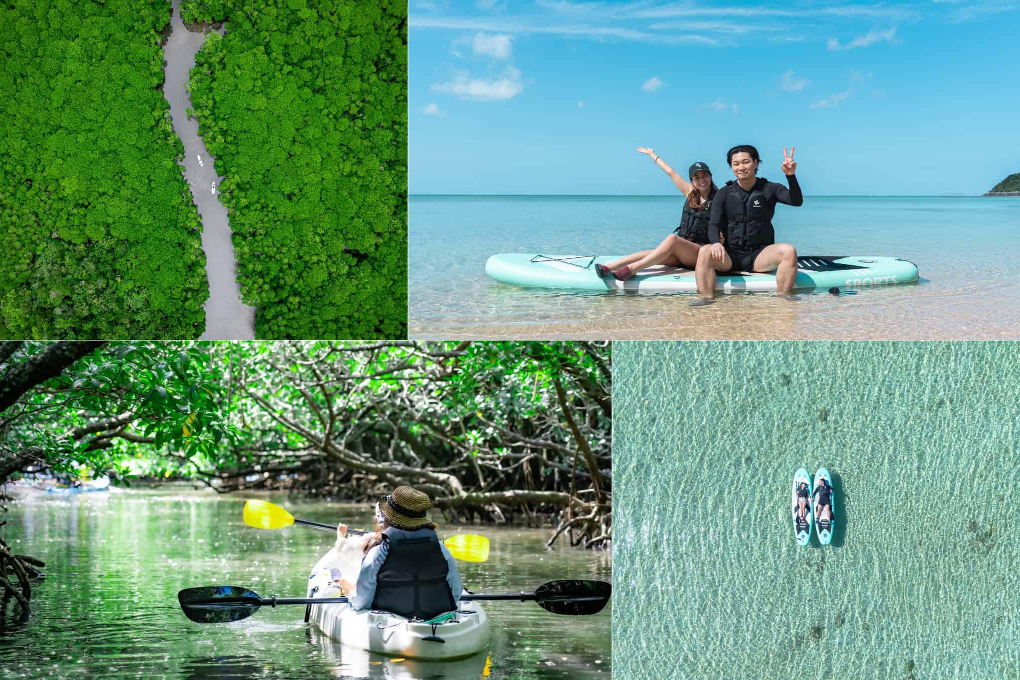 Ishigaki Mangrove & Sea SUP and Kayak Tour - Drone Footage Included