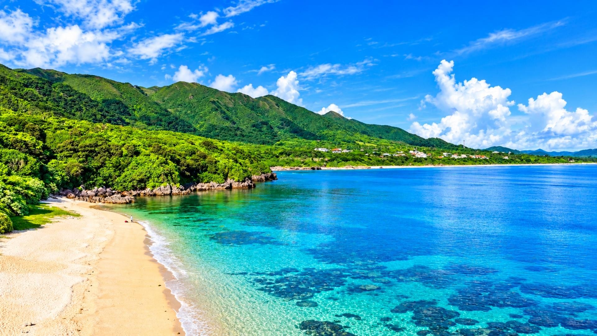 Ishigaki Beach Snorkeling & Island Sightseeing Small-Group Tour - Lunch Included