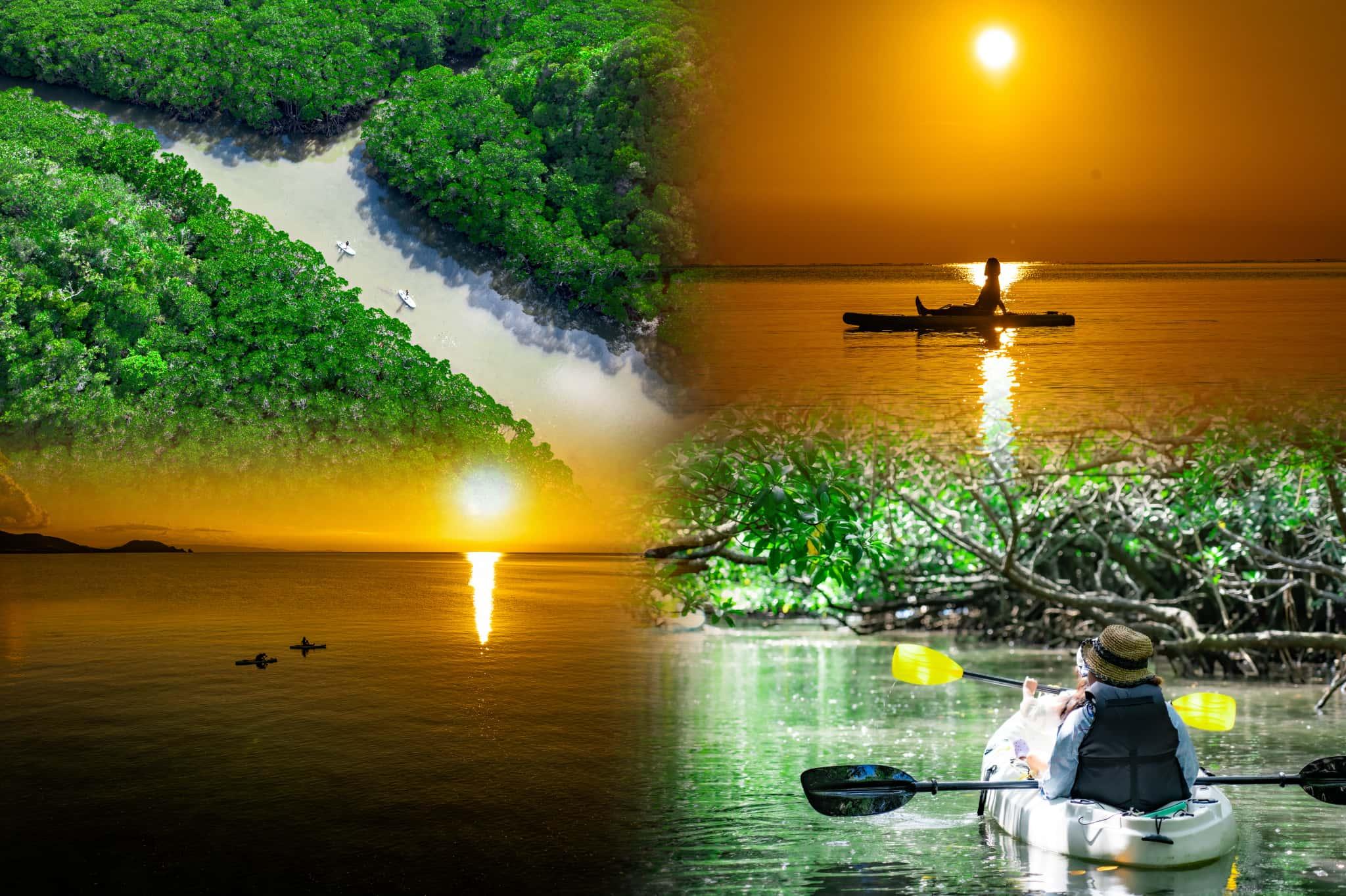 Ishigaki Mangrove & Sunset SUP and Kayak Tour - Drone Footage Included