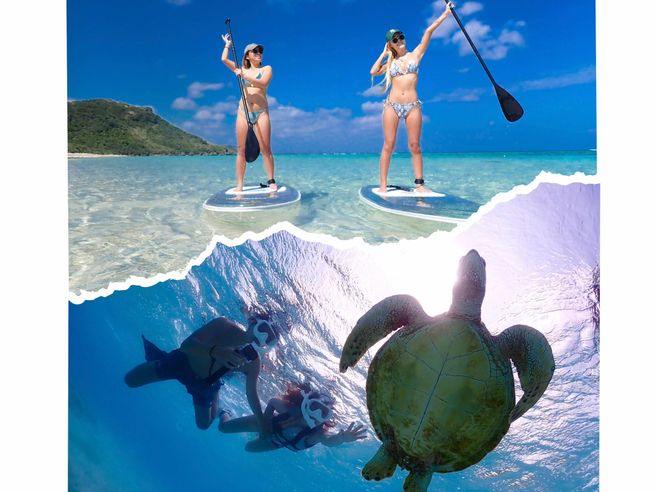 Miyakojima Private Clear SUP & Sea Turtle Snorkeling - Drone Photos Included