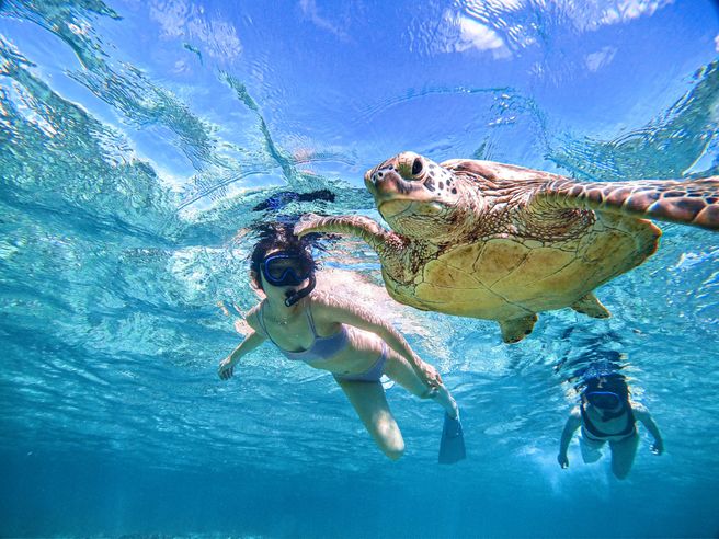 宮古島 シギラビーチ ウミガメシュノーケリングツアー - 写真撮影付き
