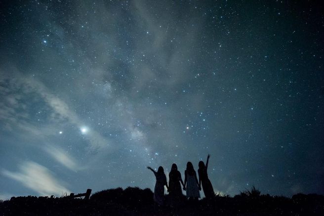 Miyakojima Kurima Island Night Jungle Safari & Starry Sky Tour - Photos Included