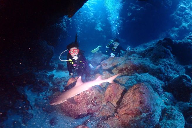 Miyakojima Boat Discover Scuba Diving - Underwater Photos Included