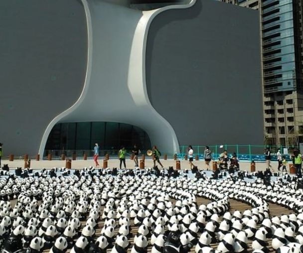 activity_detail_image