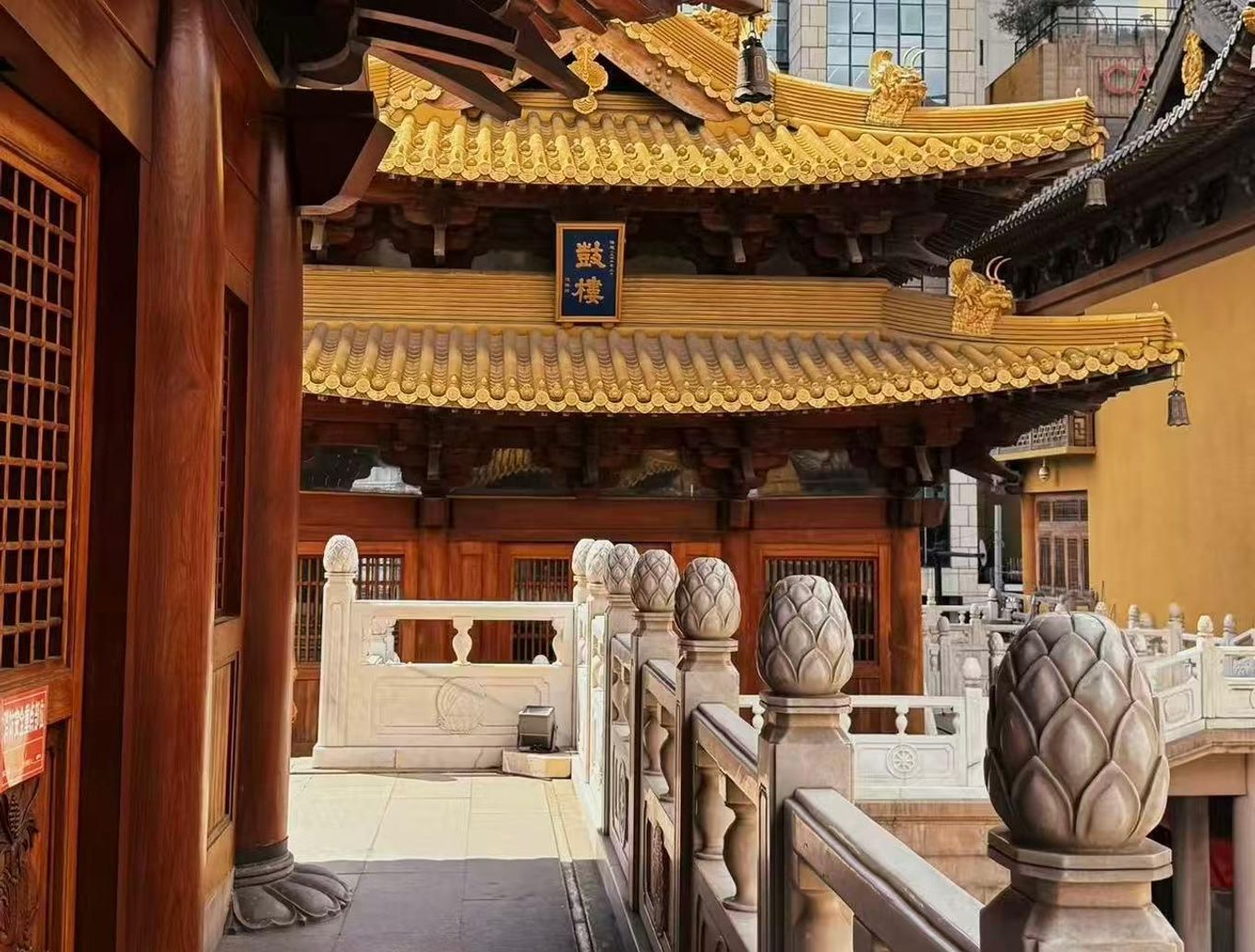 detail_image