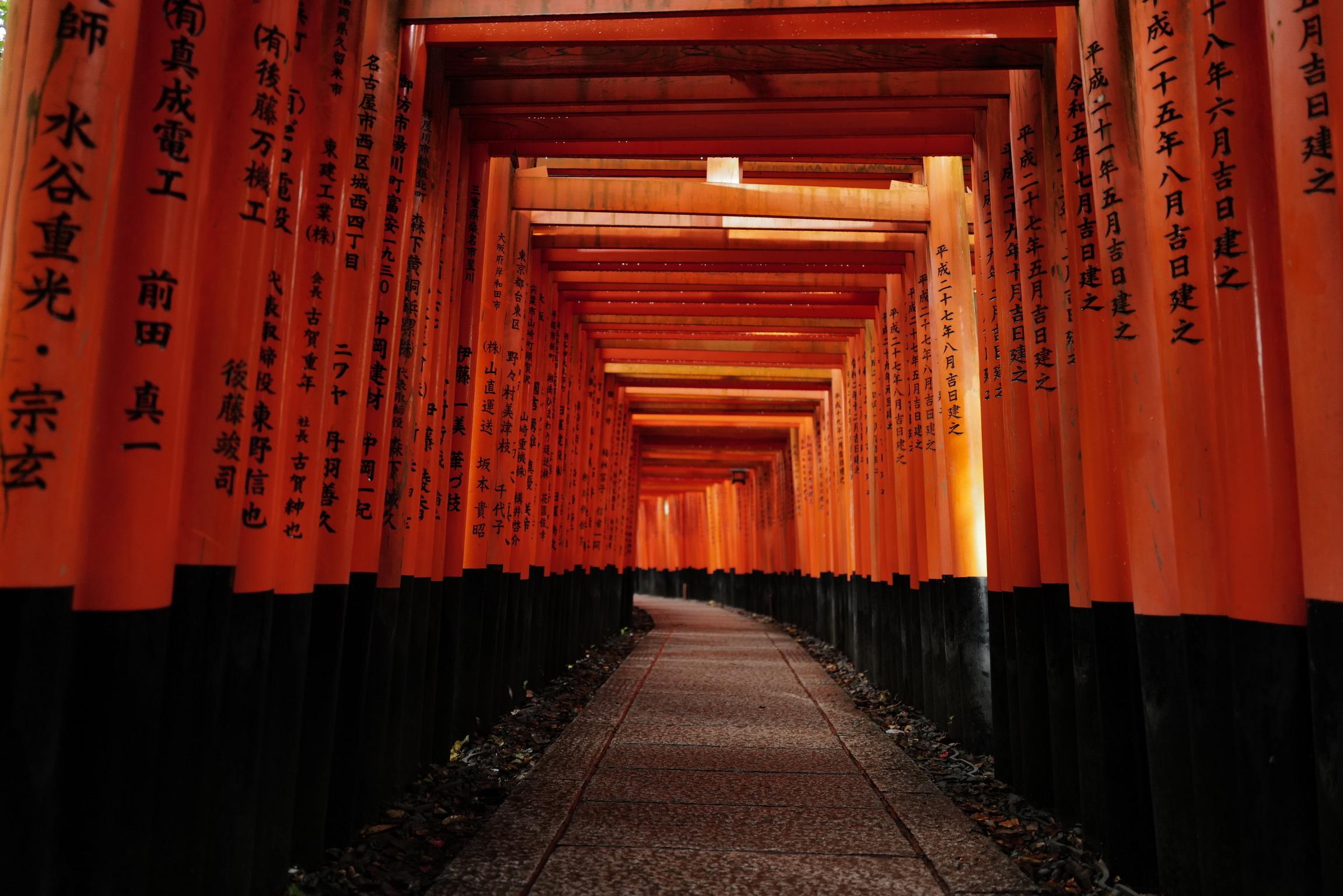 京都 伏見稲荷＆嵐山＆金閣寺 少人数ツアー - 早朝出発