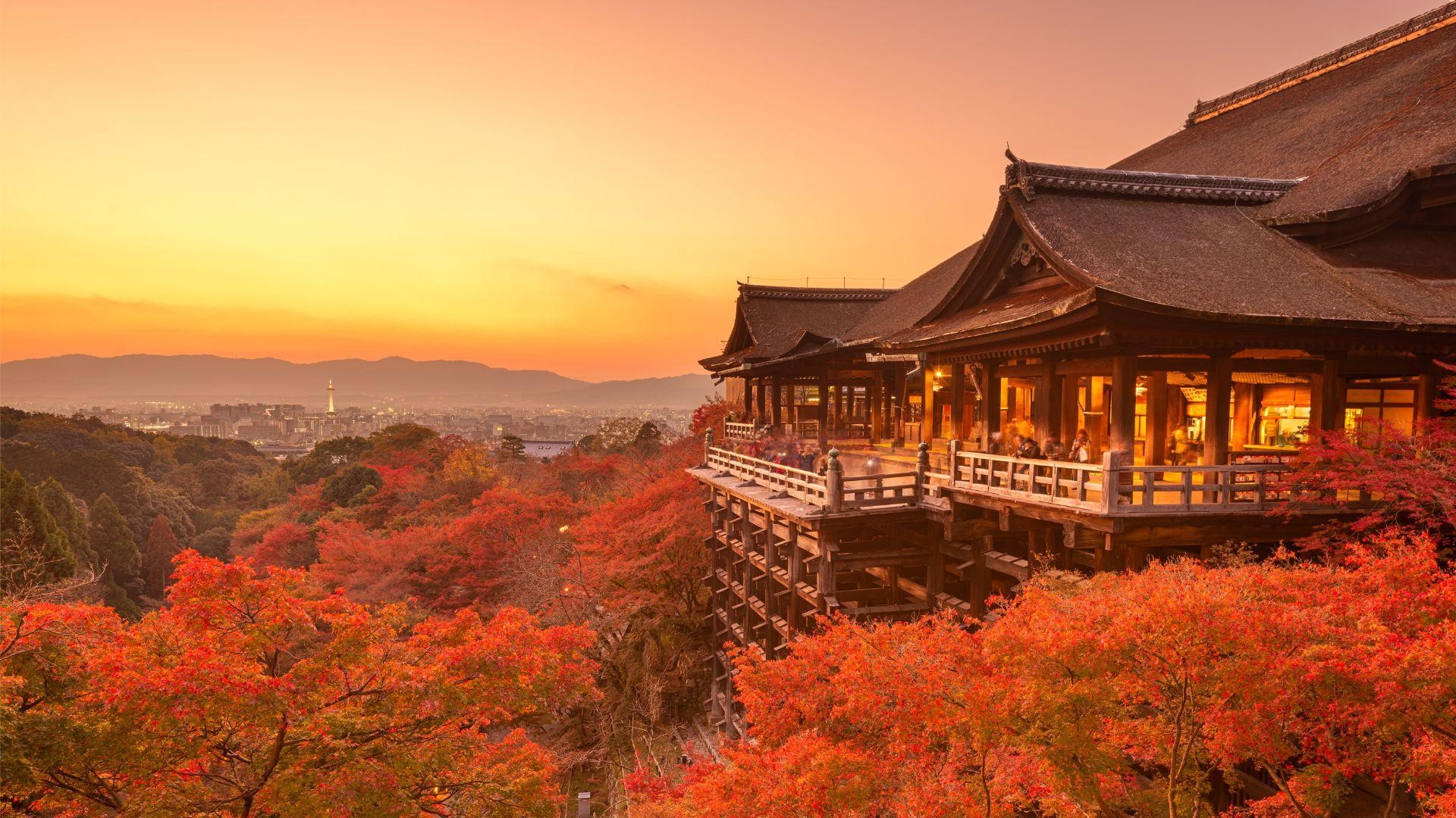 京都 東山＆祇園 ウォーキングツアー - 入場料込み