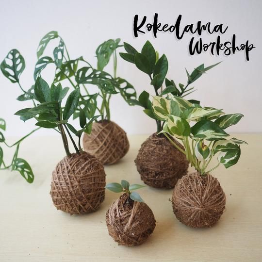 detail_image