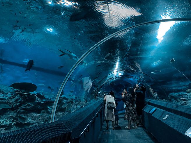 パタヤ アンダーウォーターワールド水族館 入場券
