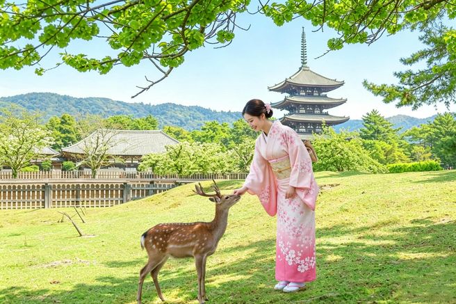 From Osaka/Kyoto: Nara Todaiji, Uji & Fushimi Inari Day Tour